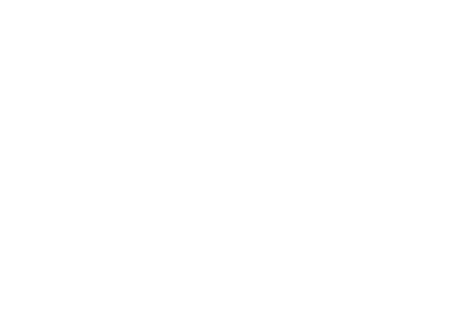 Allure Capital
